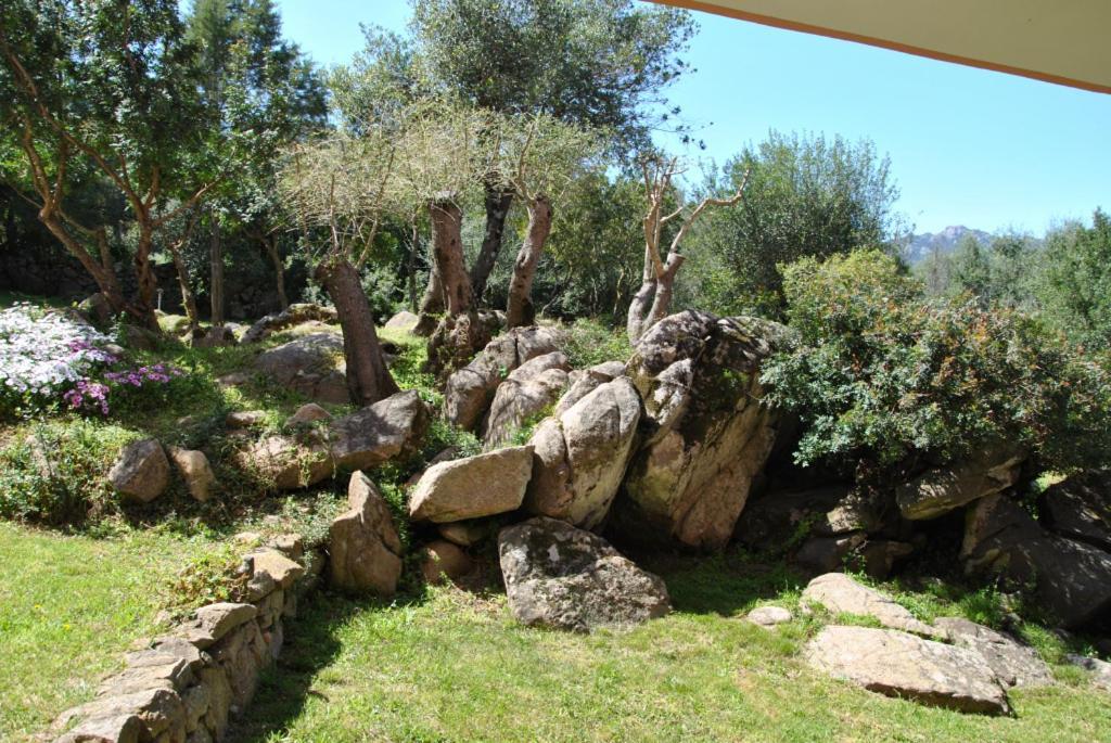 Sa Jaga Brujada Residence - Simar Vacanze Porto Rotondo Εξωτερικό φωτογραφία